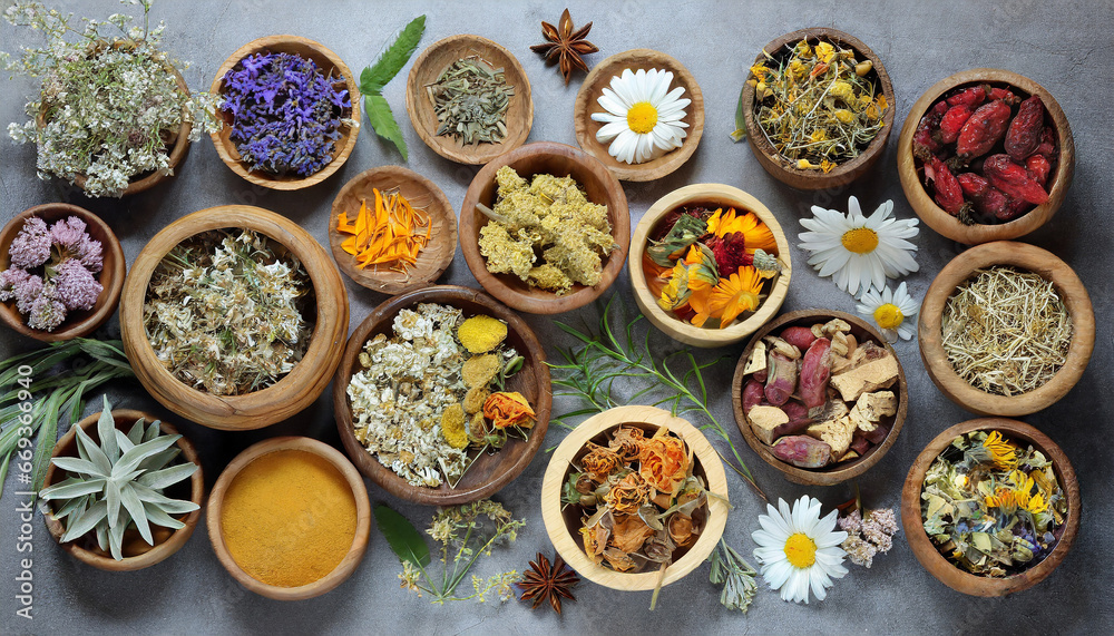 Herbal medicine used in alternative remedies with a variety of dried herbs and flowers in wooden bowls. Top view.