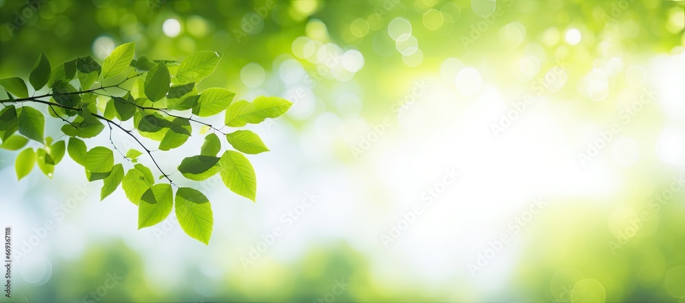 Sunny serenade. Lush green foliage under springtime sun glow. Nature canvas. Vibrant spring bathed in sunlight and bokeh. Bright leaves and fresh greenery - obrazy, fototapety, plakaty 