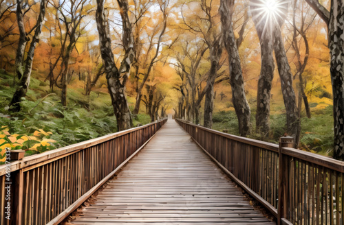 photo wooden pathway in autumn forest ai generated