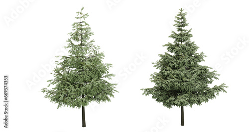 Coniferous trees. Christmas trees. Transparent background. 3D rendering. photo