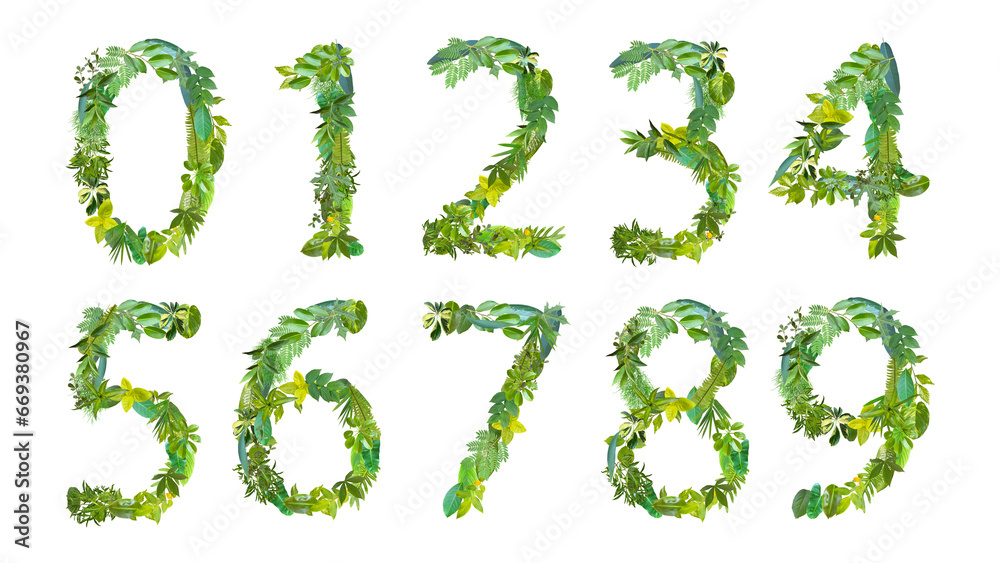 various kinds of numbers made of green leaves isolated on transparent background, PNG various kinds of numbers made of green leaves isolated on transparent background, PNG
