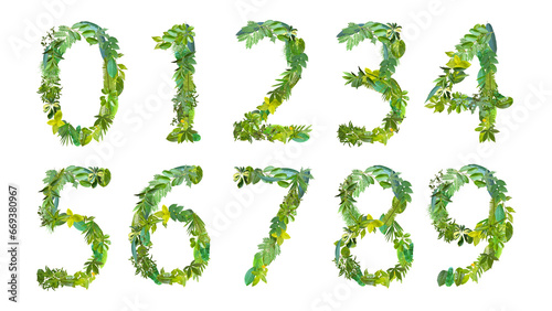 various kinds of numbers made of green leaves isolated on transparent background  PNG