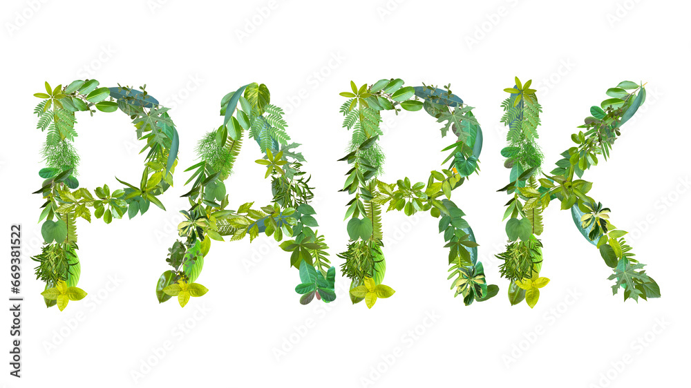 word of PARK made from various kinds of leaves isolated on transparent background, suitable for template go green concept, PNG word of PARK made from various kinds of leaves isolated on transparent background, suitable for template go green concept, PNG