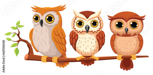 Cute owl birds cartoon, funny owlets sitting on tree branch