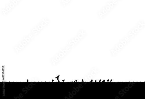 Pigeons on the top of a roof in black and white, one pigeon flying