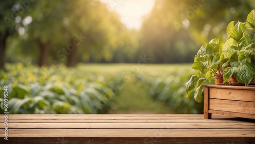 empty wooden desk with blurred background of plantation