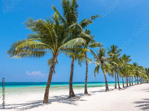 Boracay, Malay, Aklan, Philippines - April 2023: Coconut trees line Station 2 of Boracay Island.