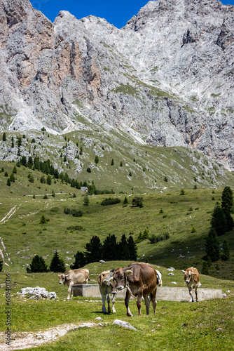 Dolomites #2 photo