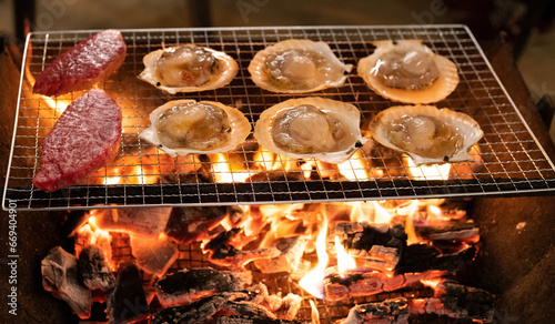 grilled meat on the grill