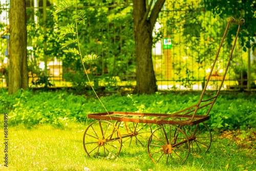bench in the park