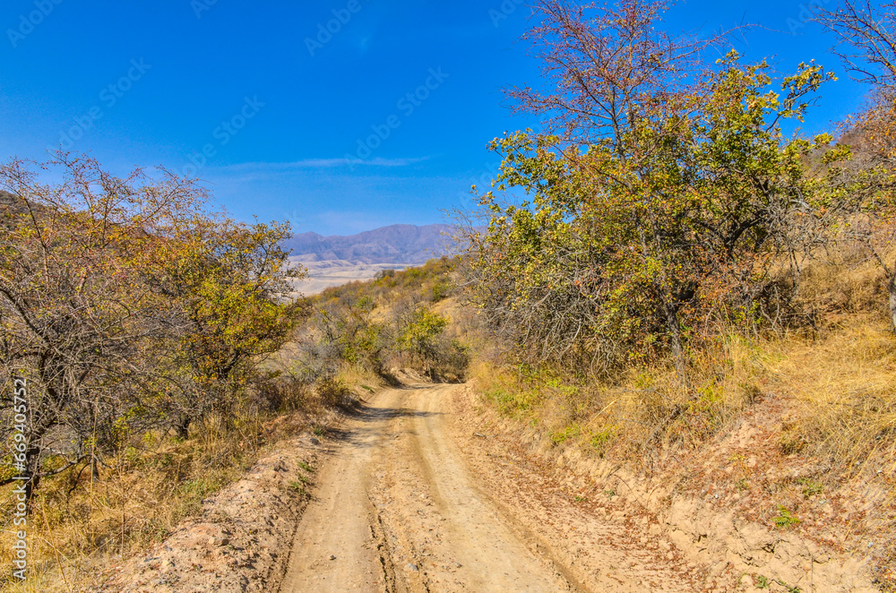 Fototapeta premium dirt road in the mountains of Kungurbuka ridge near Karankul village (Tashkent region, Uzbekistan)