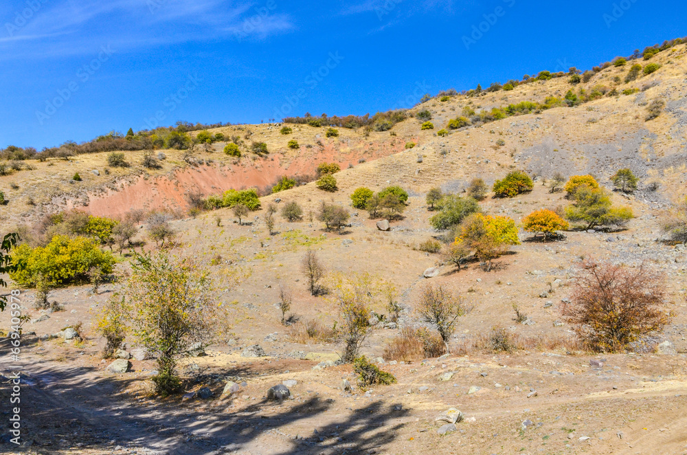 forest and rocks on scenic mountains of Kungurbuka ridge near Karankul in autumn (Tashkent Region, Uzbekistan)