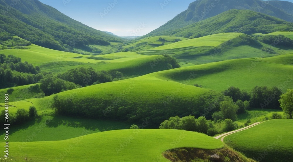 landscape with grass and sky, landscape with fields, panoramic view of green field landscape, green field