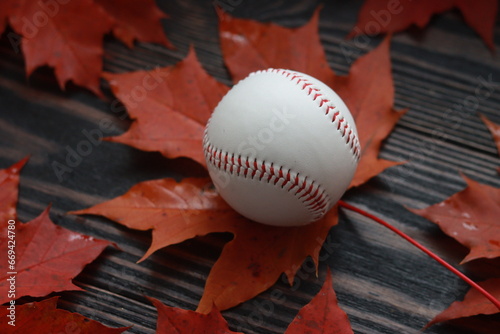 White baseball on red maple leaves. Red maple leaves and white baseball on wooden table.