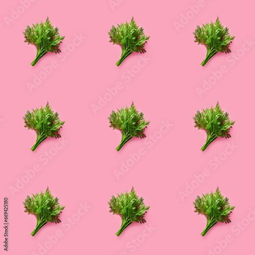 Organic natural bunch of Dill vegetable seamless photo pattern on a solid color background