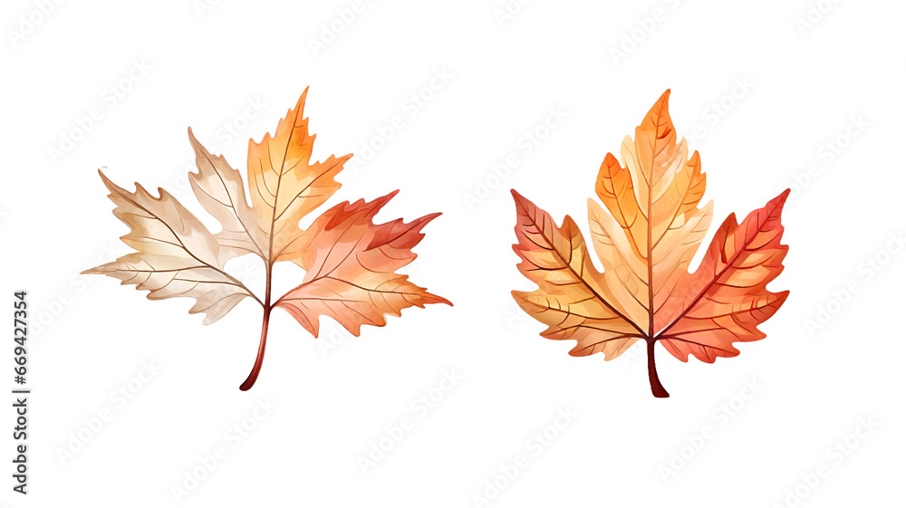 Warm color tree leaf png, transparent background. Warm color tree leaf png, transparent background.
