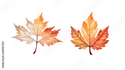 Warm color tree leaf png  transparent background. 