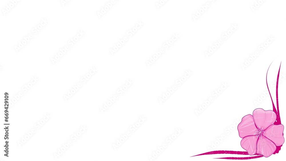 pink line on white background with sakura flower pink line on white background with sakura flower