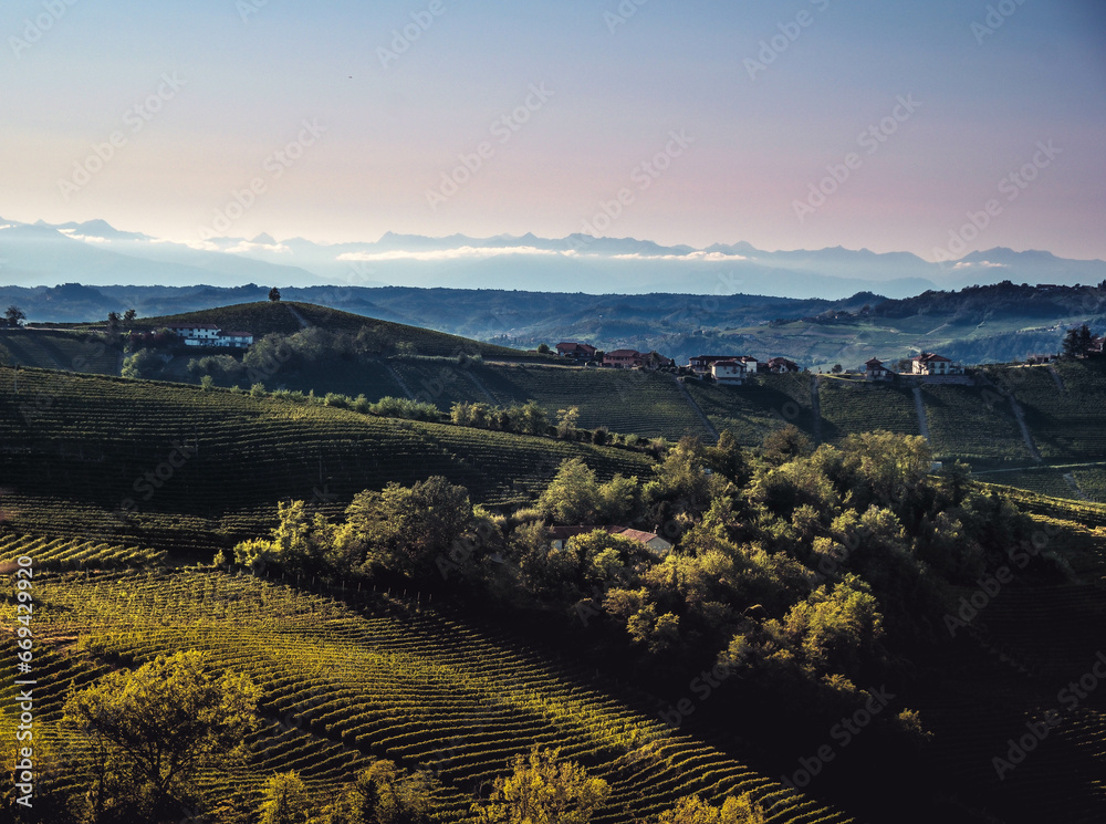 landscapes in the Piedmontese Langhe in autumn after the harvest, near Alba in 2023
​