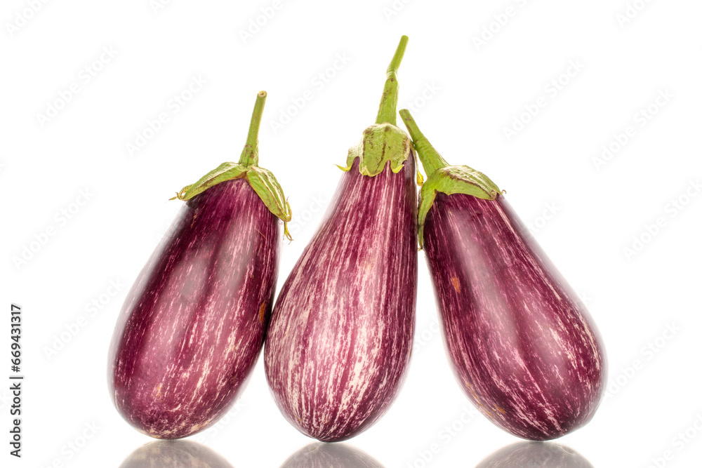Fototapeta premium Three organic ripe eggplants, macro, isolated on white background.