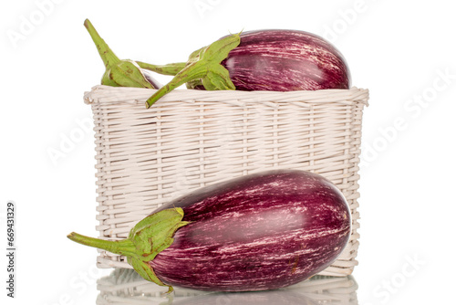 Several organic ripe eggplants in a basket, macro, isolated on white background.