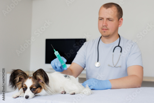 Vet with syringe in hand and sick dog in medical office