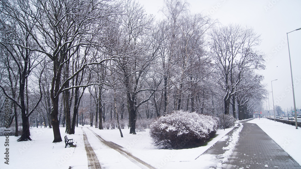 Winter scene in Park Zachodni, Wroclaw, Poland, with snow-covered trees lining Lotnicza Street. A tranquil bench awaits amidst the pristine white landscape.