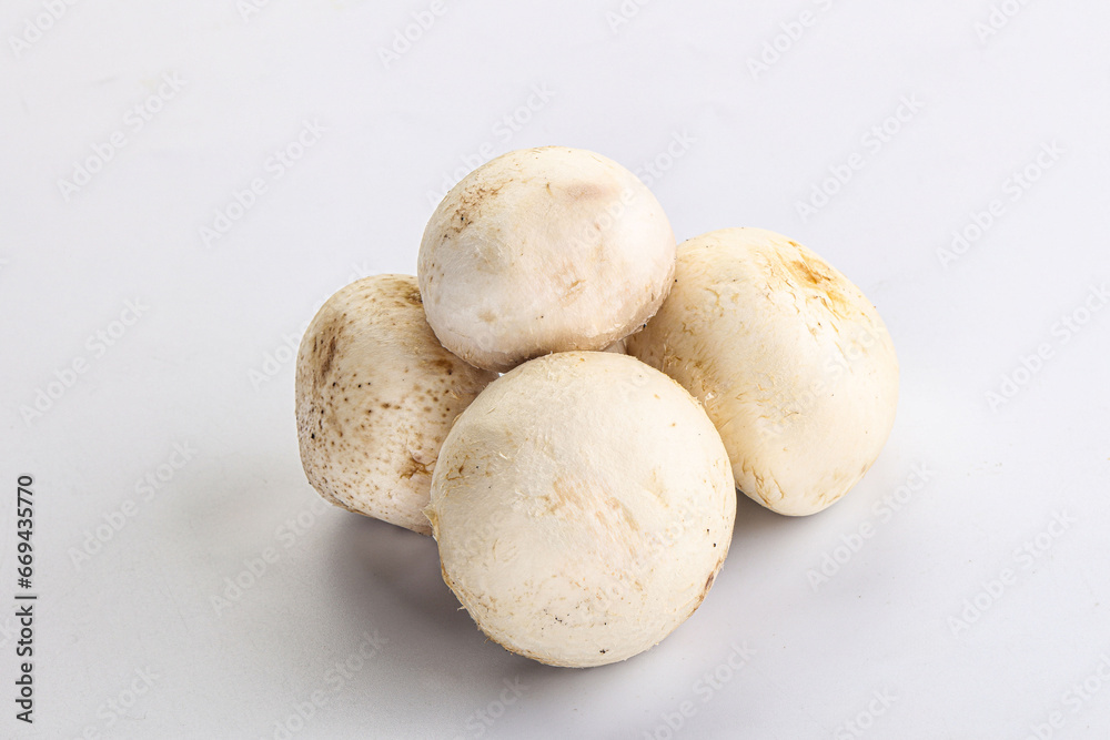 Fototapeta premium Natural organic ripe champignon mushrooms