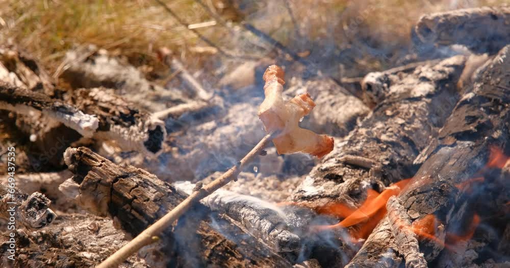 fried bacon on stick an open fire in nature, slanina,traditional food in Romania fried bacon on stick an open fire in nature, slanina,traditional food in Romania