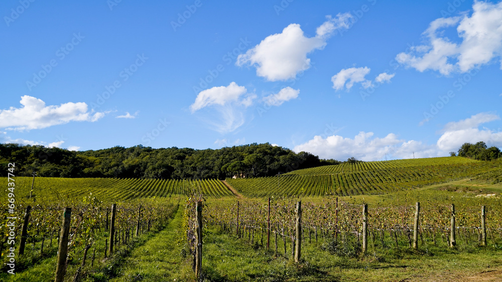 Le colline e i vigneti attorno al borgo di Vagliagli . Panorama autunnale. Chianti, Toscana. Italia