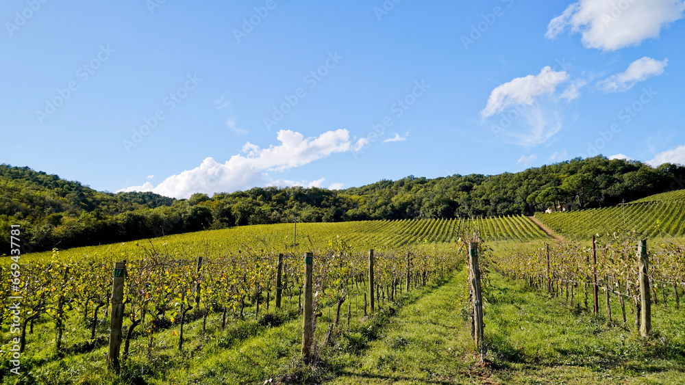 Le colline e i vigneti attorno al borgo di Vagliagli . Panorama autunnale. Chianti, Toscana. Italia