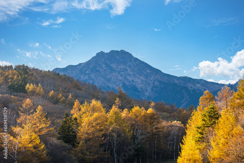 (山梨県ｰ風景)秋の八ヶ岳紅葉風景２