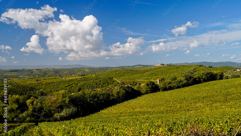 Le colline e i vigneti del Castello di Brolio sul percorso dell'Eroica . Panorama autunnale. Chianti, Toscana. Italia