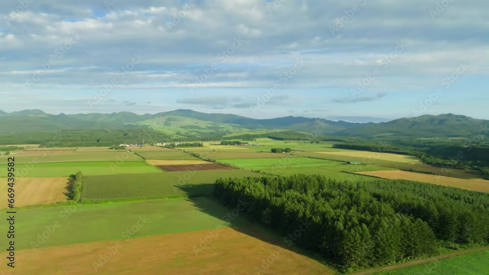 Aerial view of green and yellow fields by tree stand in rural Hokkaido Aerial view of green and yellow fields by tree stand in rural Hokkaido