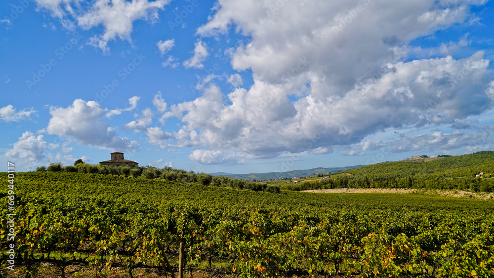 Le colline e i vigneti del Castello di Brolio sul percorso dell'Eroica . Panorama autunnale. Chianti, Toscana. Italia