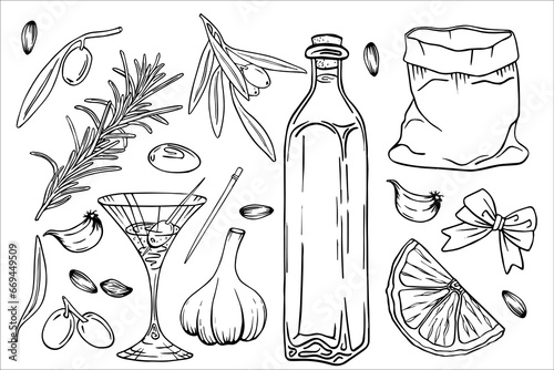 Olive oil set, graphic, vector, hand drawn doodle. Elements for food, sunflower, olives, branch, bag, lemon, kitchen board, extra virgin bottle. Martinki, glass of vermouth.