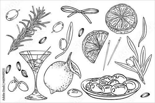 Olive oil set, graphic, vector, hand drawn doodle. Elements for food, sunflower, olives, branch, bag, lemon, kitchen board, extra virgin bottle. Martinki, glass of vermouth.