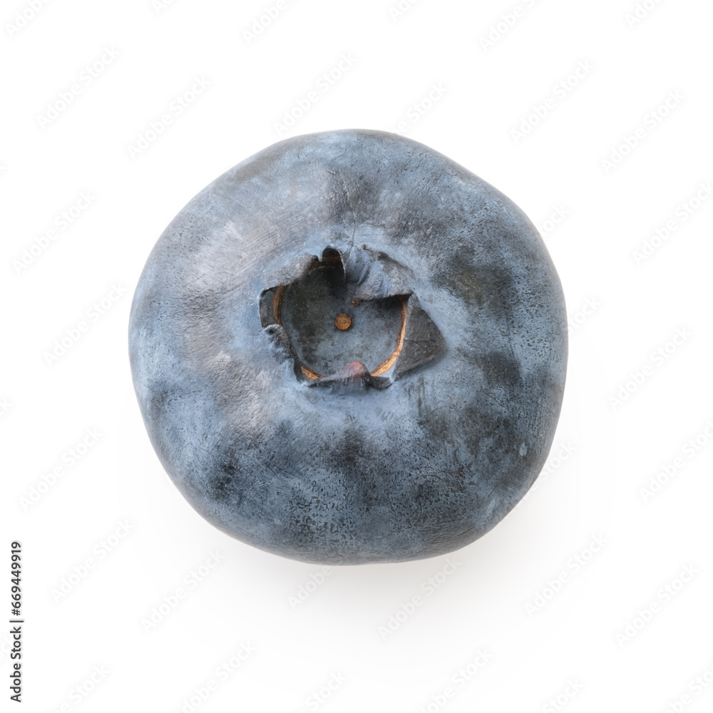Big blueberry isolated on white background Big blueberry isolated on white background
