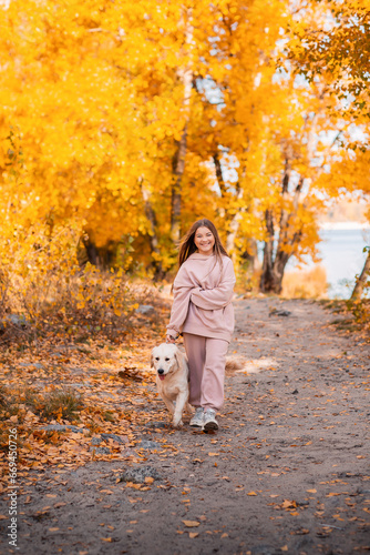 Wallpaper Mural A girl in an autumn park walks with a golden retriever dog. There are a lot of fallen autumn leaves around. A river flows in the background. Torontodigital.ca
