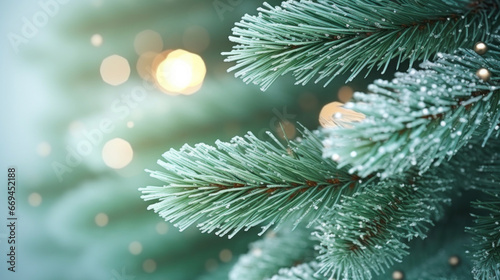 Close up Christmas tree background