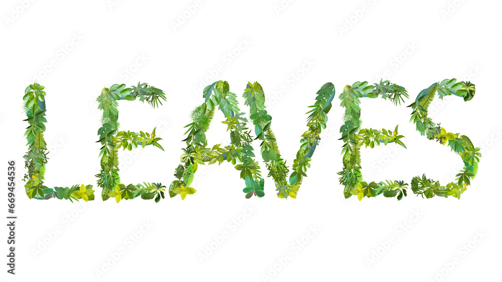 word of LEAVES made from various kinds of leaves isolated on transparent background, suitable for template go green concept, PNG word of LEAVES made from various kinds of leaves isolated on transparent background, suitable for template go green concept, PNG