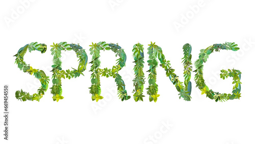 word of SPRING made from various kinds of leaves isolated on transparent background, suitable for template go green concept, PNG