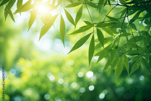 Beautiful background with green leaves on tree and blurry background with sunlight and bokeh