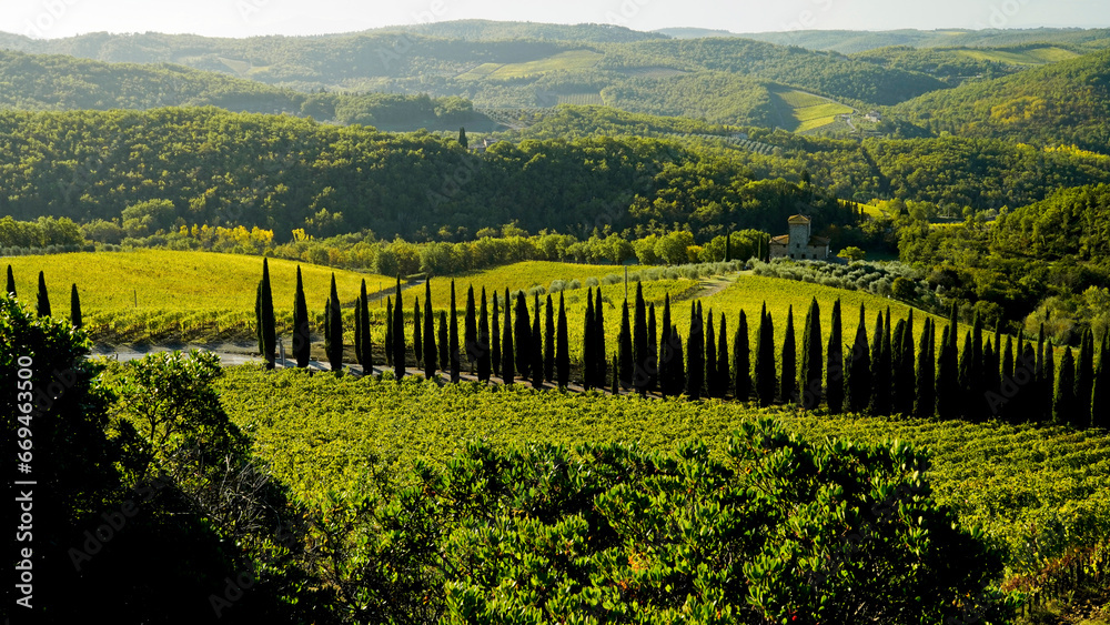 Fototapeta premium Le colline e i vigneti sul percorso dell'Eroica . Panorama autunnale. Chianti, Toscana. Italia