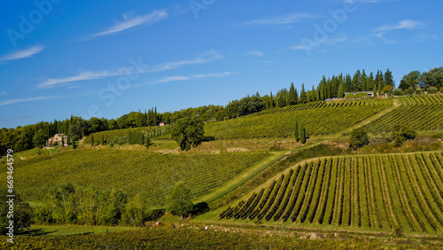 Le colline e i vigneti sul percorso dell Eroica . Panorama autunnale. Chianti  Toscana. Italia