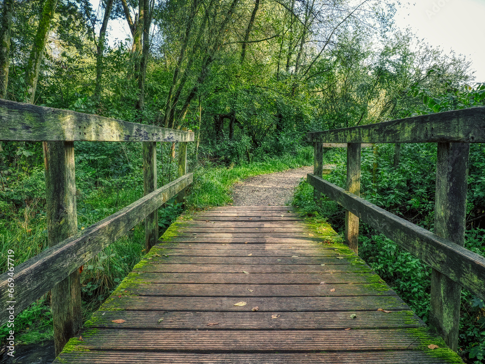 Alte Brücke, Steg im Walt