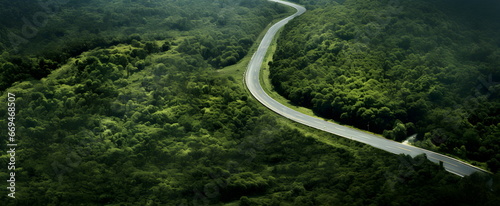 Cinematic shot of the road. Jungle. Greenery, nature. Journey