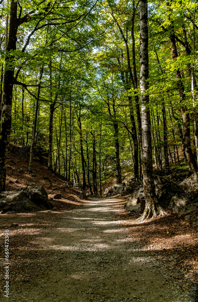 Obraz premium Landscapes of the pyrenees