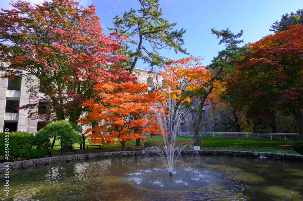 秋晴れの笹流れダム公園