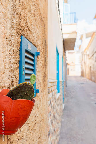 Bright Street in a Mallorcian Village with a Cactus photo